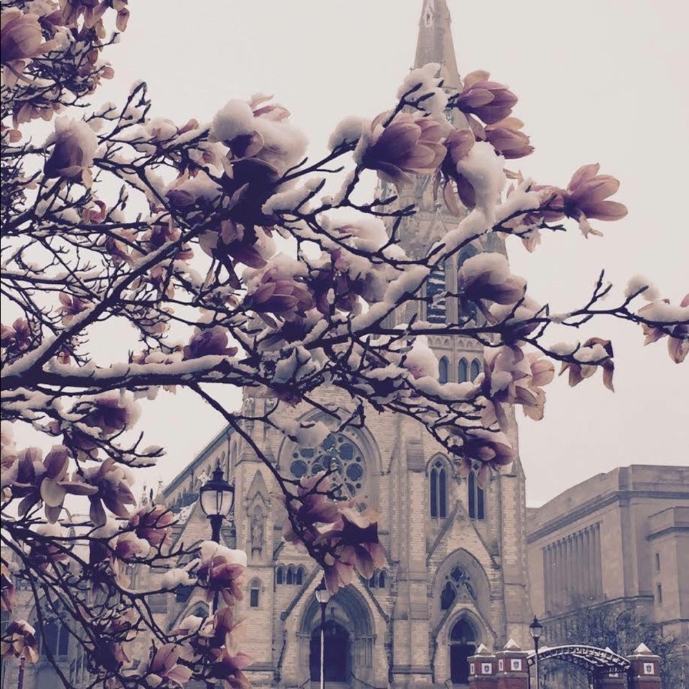 Meet your Posher, Debra